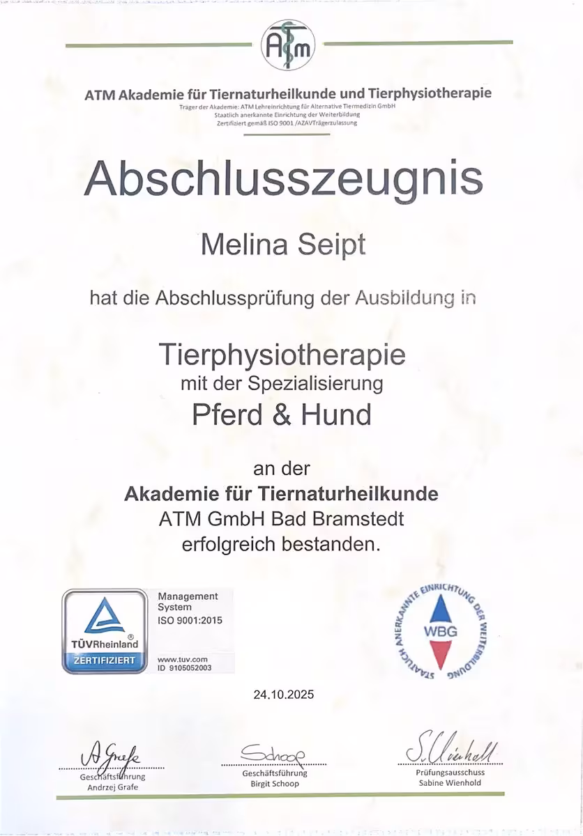 Zertifikat 3